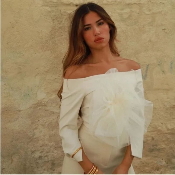 ZARA ORGANZA FLORAL TULLE TOP - Picture 2 of 3